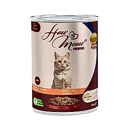How Meow Somonlu Yetişkin Kedi Yaş Maması (400 g)
