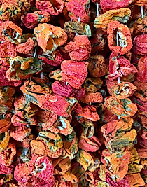 Biber Kurusu  50 adet