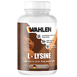 Wahlen L-Lysine Sağlıklı Gelişim Destekleyen Lizin Tablet 45 Gr - 90 Tab