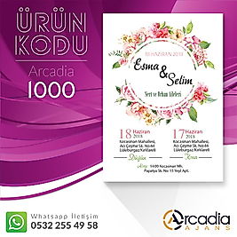 Arcadia 1000