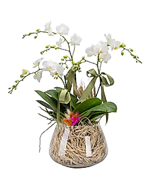 White Flower