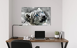 Kar Leoparı Cam Tablo