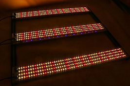240W Quantum Bar Full Spectrum LED - Samsung LM301H, Epistar 660nm & Bloom Booster Bar
