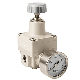 IR3020-04 | 1/2" Hassas Pnömatik Regülatör