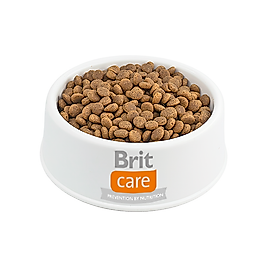 Brit Care Tahılsız Somonlu Açık Yavru Kedi Maması 500 Gr