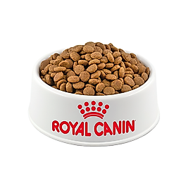 Royal Canin Küçük Irk Açık Yetişkin Köpek Maması 500Gr