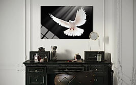 Beyaz Güvercin Cam Tablo