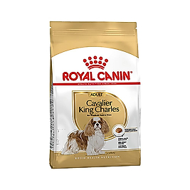 Royal Canin Cavalier King Charles Yetişkin Köpek Maması (3 kg)