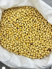 13 - 15 KAVRULMUŞ FINDIK (ÇUVAL=25 KG)