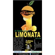 2 litre Limonata özütü