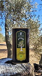 2025-2026 Yeni Sezon İlk Hasat Zeytinyağı 1lt.