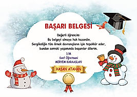 BAŞARI BELGESİ