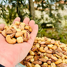 Lüks Kuruyemiş 500 gr