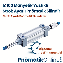 Ø100 Manyetik Yastıklı Strok Ayarlı Pnömatik Silindir