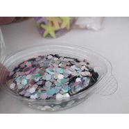 glitter pul 5 gr