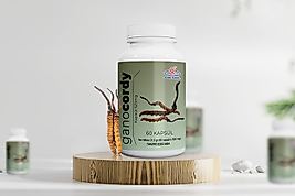 Gano Cordy Kapsül 60 x 525 MG