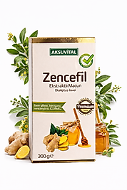 Zencefil ekstratlı bağışıklık macunu