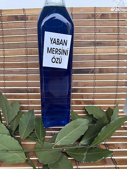 Yaban mersini özü