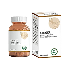 Anti Ginger (Zencefil Ekstresi) 60 Kapsül