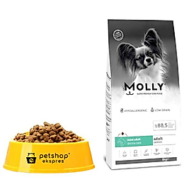 Molly Mini Somonlu Küçük Irk Açık Yetişkin Köpek Maması