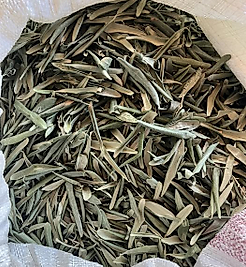 Fırsat Kapısı ZEYTİN YAPRAĞI 200 GR