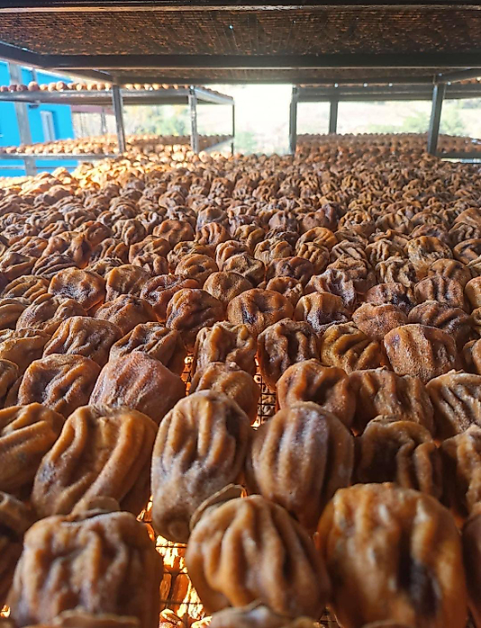 500 Gr Cennet Hurması