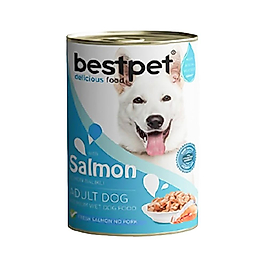 Bestpet Somonlu Gravy Yetişkin Köpek Konserve Maması (400 g)