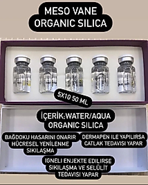 MESO VANE ORGANIC SILICA