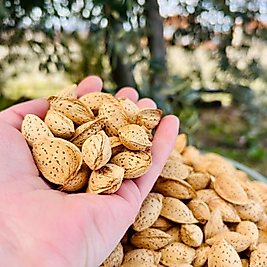 EL ile Kırılabilen Tatlı Çıtır Badem 500 GR