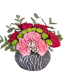 Red Rose and Carnation Cycle