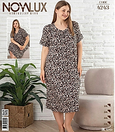 noya 4243