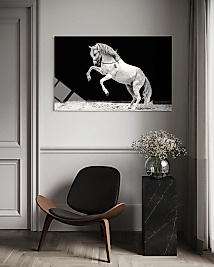 Şahlanan Beyaz At Cam Tablo