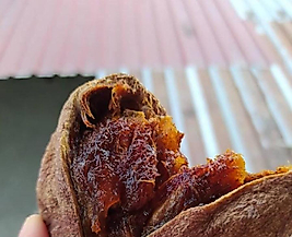 CENNET HURMASI 10 KG