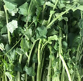 TURP OTU (250 gr)