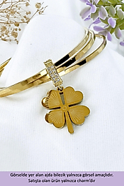 Yonca Model Zirkon Taşlı Çelik Charm