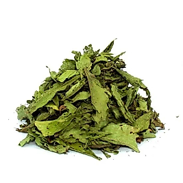 Fırsat Kapısı STEVİA ŞEKER OTU 150 GR