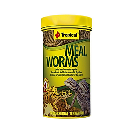 Tropical Meal Worms Un Kurdu 30 g