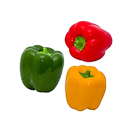 Eastland Plastik Biber Köpek Oyuncağı (6,8 cm)