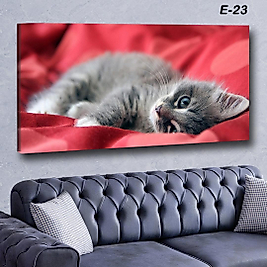 MERCAN MOBİLYA VE AKSESUAR ,70*130 KEDİ KANVAS KABLO