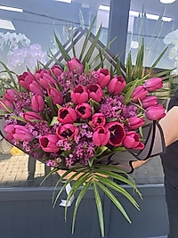 Fushia Tulips