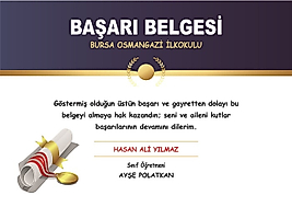 BAŞARI BELGESİ