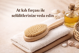 At kılı fırçası