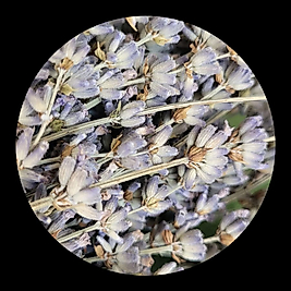 Lavanta (Lavandula angustifolia) Hidrolatı, Bitki Suyu