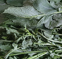 KARIŞIK EGE OTLARI - Haşlamalık (250 gr)