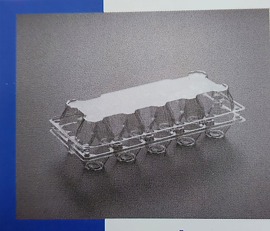 Plastik Yumurta Kabı 10 Adet