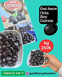 Özel Seçim Ortaboy Gurme Siyah Zeyitn