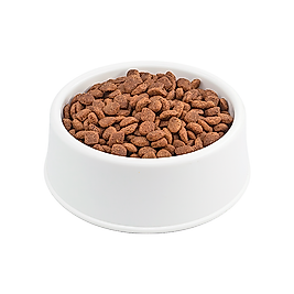 N&D Kuzu Etli Açık Kısırlaştırılmış Kedi Maması 1 Kg