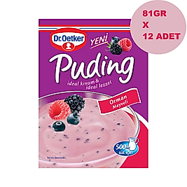 Dr.oetker orman meyveli puding 81 gr X 12 AD