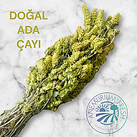 DOĞAL ADAÇAYI