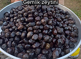 5 kg GURME İRİ Kampanya